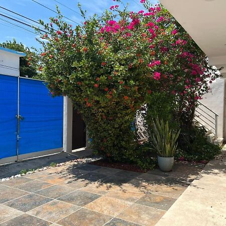 Casa Nuria Apartment Playa del Carmen Exterior photo